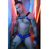 Breedwell Harnais Revolution Bleu